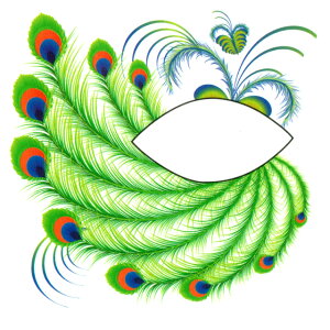 nEB ACVhE ACCN ^gD[V[ NWN nEB[ y ACVh[ ACCi[ ACC XebJ[ tFCXV[ tFCXyCg Halloween Cxgz _