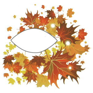 nEB ACVhE ACCN ^gD[V[ I[^[t nEB[ y ACVh[ ACCi[ ACC XebJ[ tFCXV[ tFCXyCg Halloween Cx