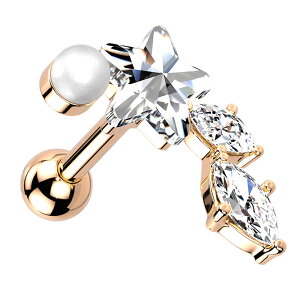 {fBsAX 16G Xg[go[x X^[  }[L[Y WG sAX sAX wbNX 316L T[WJ XeX ubg bv nnktp