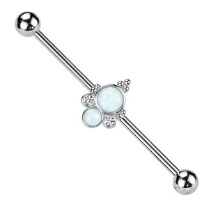 {fBsAX 14G C_XgA Ip[ WG O Xg[go[x sAX sAX wbNX 316L T[WJ XeX