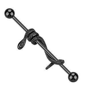 {fBsAX 14G C_XgA Xl[Nbv wr   O Xg[go[x sAX sAX wbNX 316L T[WJ XeX