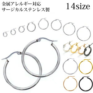 リング ピアス メンズ 大きめの人気商品 通販 価格比較 価格 Com