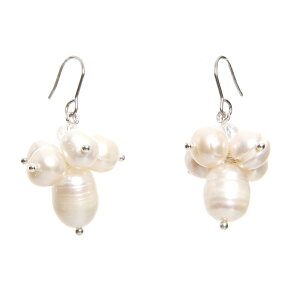 sAX T[WJXeX p[`[ XeX sAXi1yAj fB[X Y AM[  XeX AM[ Ή t[ t@[XgsAX stainp |Cg