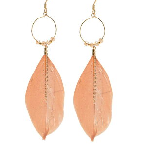 sAX T[WJXeX NAr[Y`F[ tFU[ tbN sAX 1yA fB[X AM[Ή p