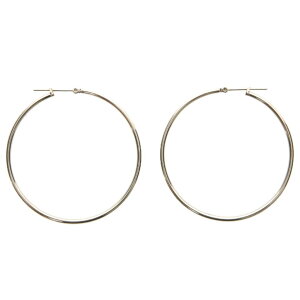 ピアス サージカルステンレス シンプルフープ ピアス 1ペア レディース 金属アレルギー対応 両耳用