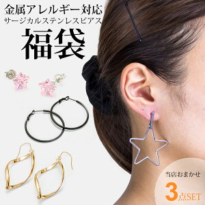 sAX  2025N ܂3_Zbg sAX T[WJXeX AM[ X^bh t[v h tbN |Cg 