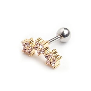 �{�f�B�s�A�X 16G ��s�A�X �T�[�W�J���X�e�����X �g���K�X 2�J���[�W���G�� �g���v�� �t�����[ �� �X�^�[ �� �X�g���[�g�o�[�x�� �w���b�N�X �{�f�B�s�A�X 316L �s�A�X ���u���b�g �{�f�B�s