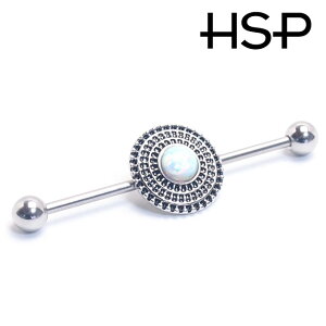 {fBsAX 14G C_XgA Ip[ AeB[N sAX Xg[go[x 316L T[WJXeX {fB[sAX AM[ |Cg 