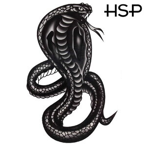 nEB ^gD[V[ rbORu nEB[    o^tC n[g H At@xbg  NX \ gCo  KN z 킢  {fB[V[ hall