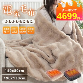【PSE認証済み★クーポンで4699円～★2025年新品発売】掛け毛布 電気 毛布 電気毛布 掛け 電熱毛布 電気もうふ モウフ 速暖 ふわふわ 洗える 温度調節 タイマー 電気ブランケット 厚手 シングル ダブル 省エネ コンセント 大判サイズ 洗える電気毛布 ブランケット