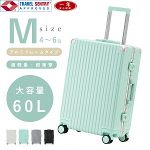 X[cP[X mTCY L[obO MTCY L[P[X y  t[^Cv A~t[ X[cP[X m TSAbN rWlX obO É 4-6 60bg 
