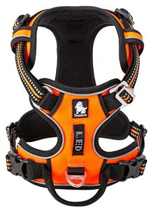 cocomall @2020V^@pn[lX@p @hbO@ybgpi@n[lX @3Mˍޗ@P iC @^A^A^Ɍ ʋC ߉\ (M, IW)