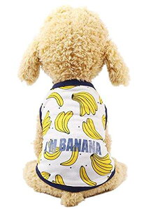 ӂlC ʋCbV^ TVc s[X l Jbv  UoEFA tĕ hbOEFA Ăh Eѕی (XL, oii TVc)