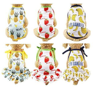 ӂlC ʋCbV^ TVc s[X l Jbv  UoEFA tĕ hbOEFA Ăh Eѕی (S, C`S XO)