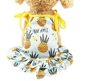 ӂlC ʋCbV^ TVc s[X l Jbv  UoEFA tĕ hbOEFA Ăh Eѕی (S, pCibv XO)