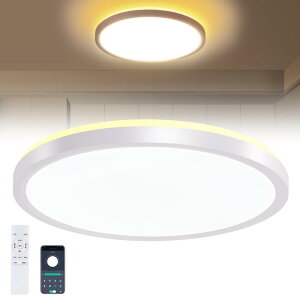 LEDV[OCg 6 28W :3800lm a F  ԐڏƖ 铔 ȃGl ڂɗD ͋CiCgCg Rt X}zAPP 6`8p a/Q//rO//