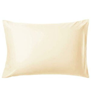 AYO Jo[ 100 STCYs[P[X zei TeD 300{x (CG [, 43*63cm)