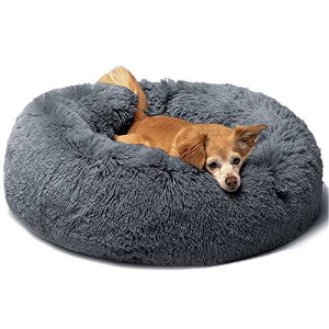  xbh L xbh NbV ObY - Eh^ ӂ OYANTEN ی^ h[icӂӂ  薰 􂦂 ʔN R[M[/Č/^pi(75cm, _[NO[)