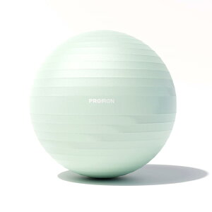 PROIRON �o�����X�{�[�� �΂�񂷂ځ[�� 55cm ���� �W���{�[�� �t�B�b�g�l�X�{�[�� �A���`�o�[�X�g �ω׏d300kg �n���h�|���v�t (���C�g�O���[��, 48-55cm/S)