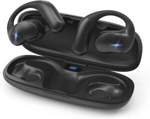 CXCz y2024ƊEE^OWSCzz CX Bluetooth5.4 J^CXCz ő60ԘAĐ I[vC[^ ǂȂ C`Cz vV | 