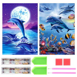 TRX _ChA[g Lbg _Ch̊G 2Zbg ꂢ Sʓ\t _ChA[g 5D S l̎q DIY |Lbg Ƃ̕ǂ̑ (iCJ1j)