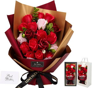 \[vt[ԑ ̓v[gCav[g \[vt[ o Of[V ԑ u[P KN v[glCMtg LO ̓ hV̓ ޏ  