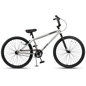 yAVASTAzTRIDENT [XBMX] BMX RACING[VOSҌKpBMX WjATCY X莩] t@bg^C O\`F[P[X LbNX^h/փu[L/yOZbg