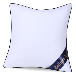 Belinna NbVg 50x50cmĩTCYj ׂȂ cushion w \t@[NbV k[hNbV ې􂢉\ 