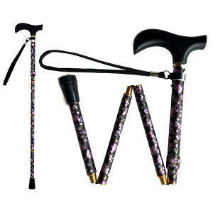 EFt@ CtXebL ܂肽ݐLk^ ubN 009715