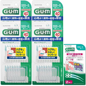 GUM(K) vPA \tgsbN ԃuV 炩 S^Cv P[Xt TCY:SSS~S ׂ^Cv 40{×4pbN+܂t