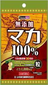 �R�{�������� �}�J��100%NB 120��
