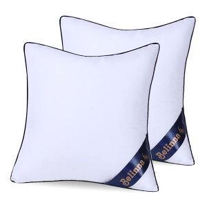 Belinna NbVg 50x50cm*2ĩTCYj ׂȂ Zbg cushion w \t@[NbV k[hNbV ې􂢉\ 