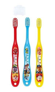 XP[^[(Skater) uV 14cm p 3-5 炩 3{ pEEpg[ 23 TB5ST-A