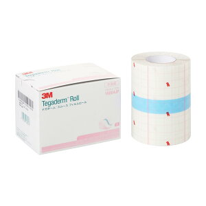 3M eK_[ X[X tB[ 10cmx12m 1[ 16004JP tBhbVO htB