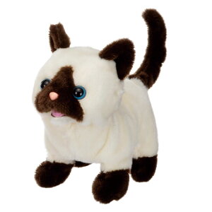 C(IWAYA) sbR[l V ST}[NF 3ˈȏ  drœʂ