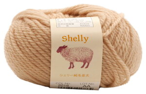 A(Motohiro) XL[ ҂ݖю VF[ѕ(10ʃZbg) Col.2016