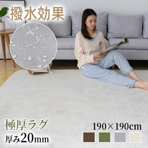 ラグ 極厚 190×190 2畳 遮音 カーペット ラグマット 撥水 滑り止め付 防音 フランネル オールシーズン ペット 足音 送料無料