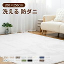 ラグ 洗える 200×250cm 3畳 ラグカーペット ラグマット 北欧 防ダニ 滑り止め付 ホットカーペット対応 床暖房対応 夏 冬 マット ラグマット カーペット ラグカーペット フランネル ウォッシャブル 絨毯 防ダニ・抗菌 リビング オールシーズン