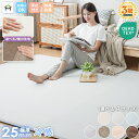 【最安値に挑戦中】ラグ ラグマット 夏用 ひんやりラグ 洗える 高反発 厚手 25mm 2畳 3畳 フランネル 防音 滑り止め付…
