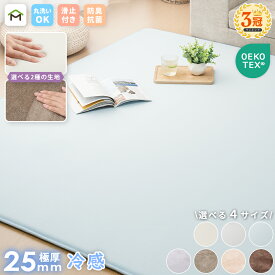 【クーポン10%OFF 7/26 2時まで】【最安値に挑戦中】ラグ 接触冷感 夏用 洗える ラグマット ひんやりラグ 高反発 厚手 25mm 2畳 3畳 フランネル 防音 滑り止め付 床暖房 ホットカーペット対応 こたつ 対応 正方形 長方形 カーペット 絨毯 北欧 オールシーズン 送料無料