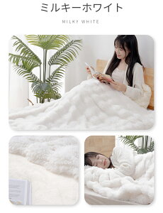 毛布 シングル 冬用 ふわとろ毛布 2枚合わせ ブランケット モコモコ 合わせ毛布 厚手 ひざ掛け 掛け毛布 とろとろ ふわふわ 静電気防止 おしゃれ 洗える あったか 暖かい セミダブル ダブル