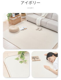 【在庫処分73%OFF】ラグ 接触冷感 洗える 夏用 低反発 オールシーズン 1.5畳 2畳 薄手 クールラグ ひんやり 涼しい カーペット キルト リビング 赤ちゃん ひんやりマット おしゃれ ラグマット 夏 涼感 冷感 北欧