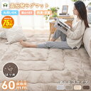 【スーパーSALE期間75%OFF 12/4 20時〜】ラグマット 厚手 超極厚60mm/50mm ふわふわ 2畳 3畳 洗える カバーリング ス…