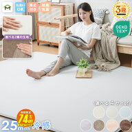 【SS半額!毎日先着5名さらに50%OFF】【最安値に挑戦中】ラグ 接触冷感 夏用 洗える ラグマット ひんやり…