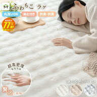 【SS期間77%OFF 6/11 2時まで】ラグ ラグマット 洗える 厚手 オールシーズン 北欧 2畳 3畳 防ダニ 滑り止…