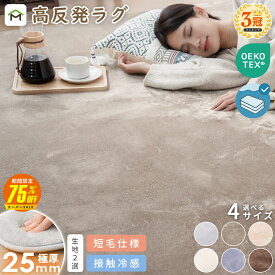 【SS半額!毎日先着5名さらに50%OFFクーポン配布中】【冷感仕様処分中】ラグ ラグマット 洗える 厚手 極厚25mm 2畳 3畳 フランネル 防音 滑り止め付 床暖房 ホットカーペット対応 こたつ敷布団 高反発ラグ ラグマット カーペット 絨毯 北欧 オールシーズン 送料無料