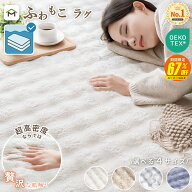 【SS期間67%OFF 9/11まで】ラグ ラグマット 洗える 厚手 オールシーズン 北欧 2畳 3畳 防ダニ 滑り止め付…