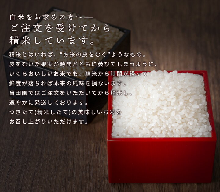 楽天市場】米 2kg 送料無料 京都府産 ヒノヒカリ 令和6年産 お米 白米 