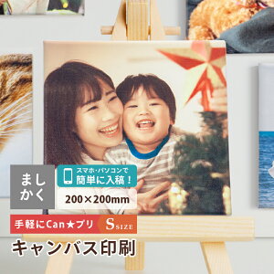 LoXvg ʐ^ LoX ʐ^pl Mtg v[g 20cm STCY tHgpl A[gpl A[g{[h A[gt[ LOʐ^ EFJ{[h xr[ j ܎O 