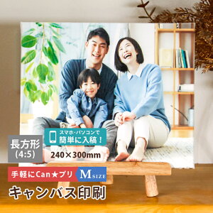 LoXvg ʐ^ LoX ʐ^pl Mtg v[g ` 24x30cm MTCY tHgpl A[gpl A[g{[h A[gt[ LOʐ^ EFJ{[h xr[ j